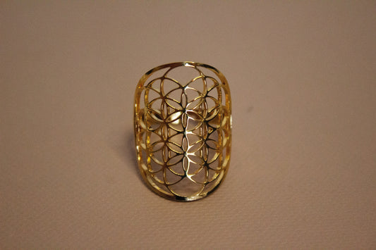 Anillo de la vida